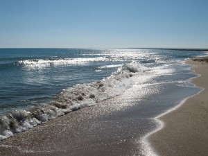 Море. Фото с сайта newstube.ru Море. Фото с сайта newstube.ru